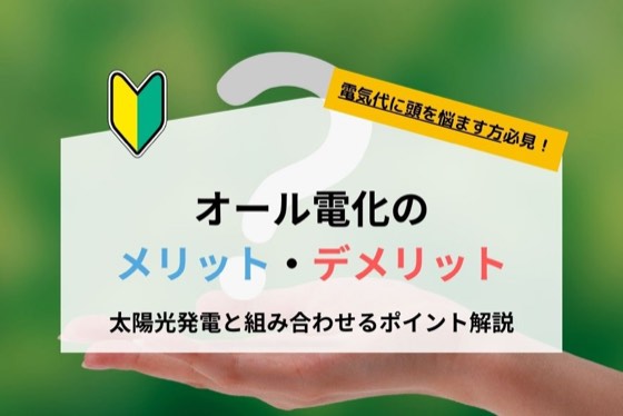ハチドリソーラー