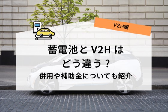 ハチドリソーラー