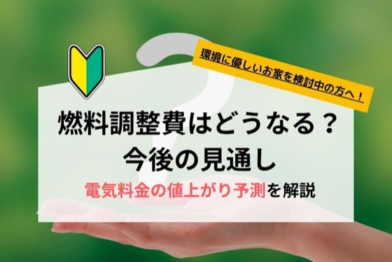 ハチドリソーラー