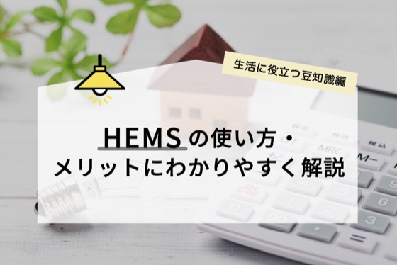 ハチドリソーラー