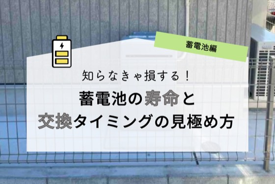 ハチドリソーラー
