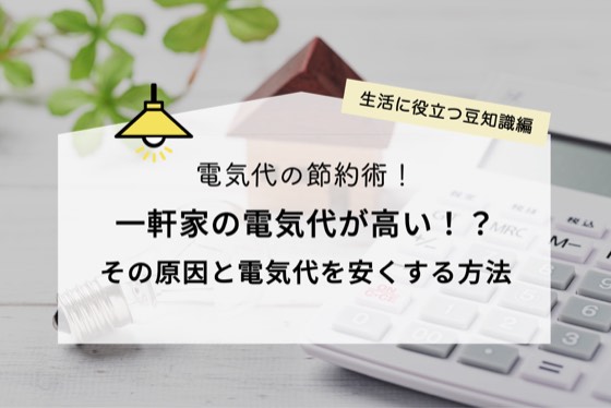 ハチドリソーラー