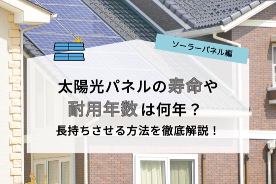 ハチドリソーラー