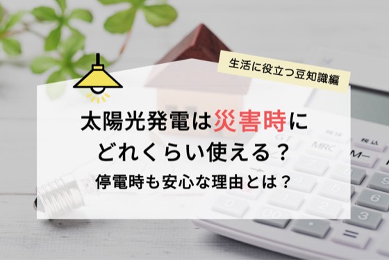 ハチドリソーラー