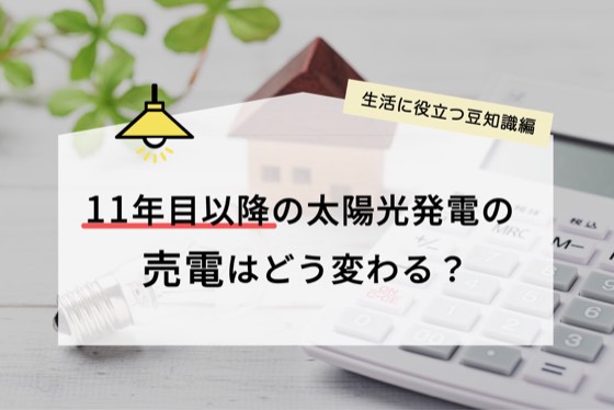 ハチドリソーラー