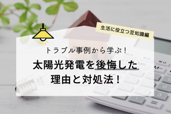 ハチドリソーラー